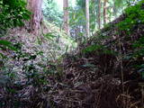 近江 山岡城の写真