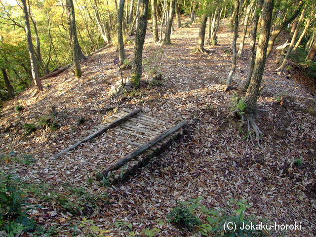 近江 横山城の写真