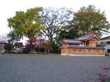近江 横山城の写真