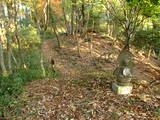 近江 横山城の写真