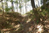 近江 丁野山城の写真
