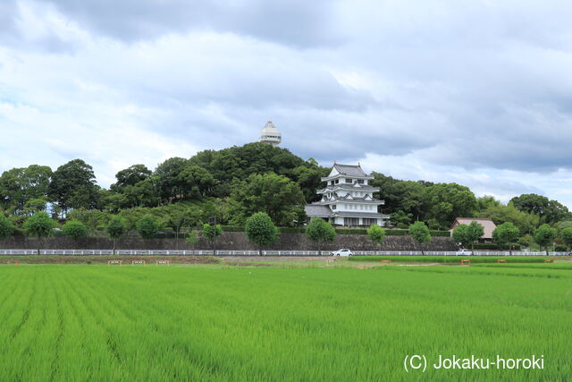 尾張 新居城の写真