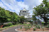 尾張 新居城の写真