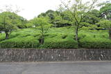 尾張 新居城の写真