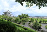 尾張 新居城の写真