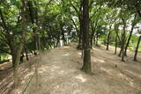 尾張 新居城の写真