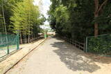 尾張 新居城の写真