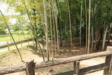 尾張 新居城の写真
