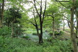 尾張 古渡城の写真