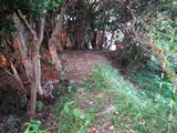 尾張 幡豆崎天神山城の写真