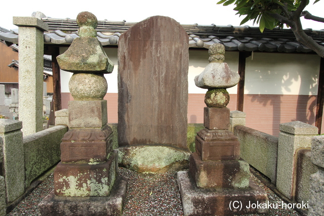 尾張 日比津城の写真