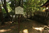 尾張 犬山城の写真