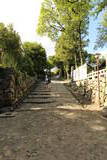 尾張 犬山城の写真