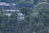 尾張 犬山城の写真