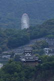 尾張 犬山城の写真