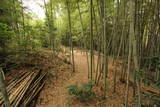 尾張 大草城(小牧市)の写真