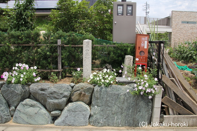 尾張 北外山城の写真