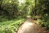 尾張 小牧山城の写真