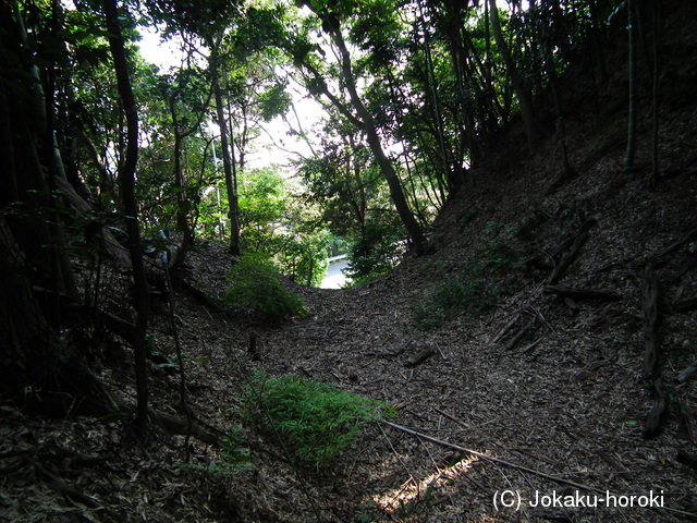 尾張 河和城の写真