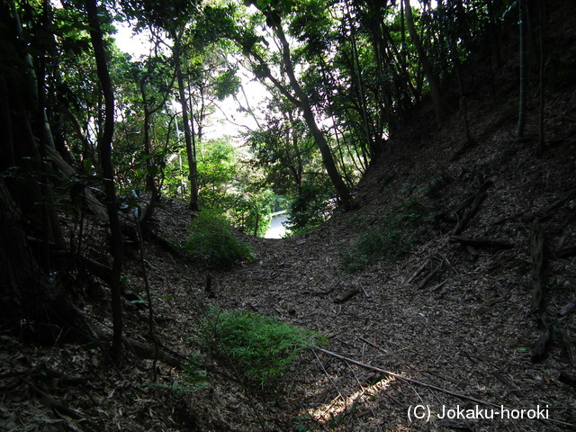 尾張 河和城の写真