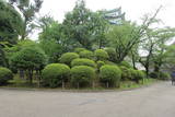 尾張 名古屋城の写真