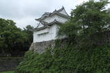 尾張 名古屋城の写真