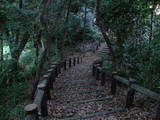 尾張 大草城(知多市)の写真