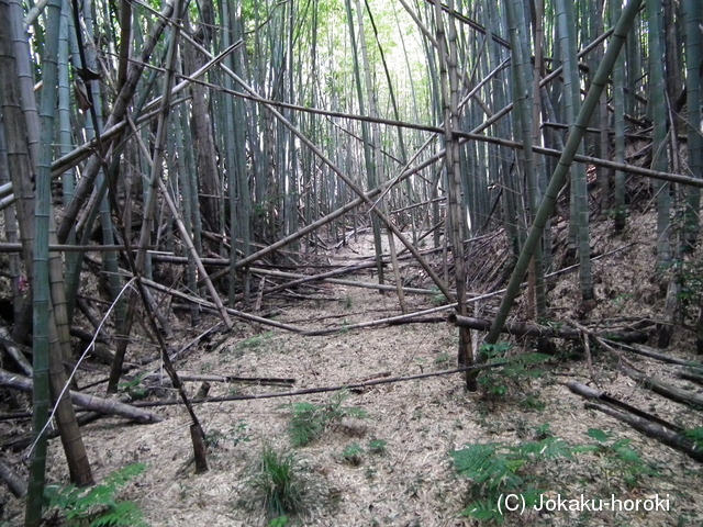 尾張 奥田城の写真