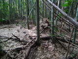 尾張 奥田城の写真