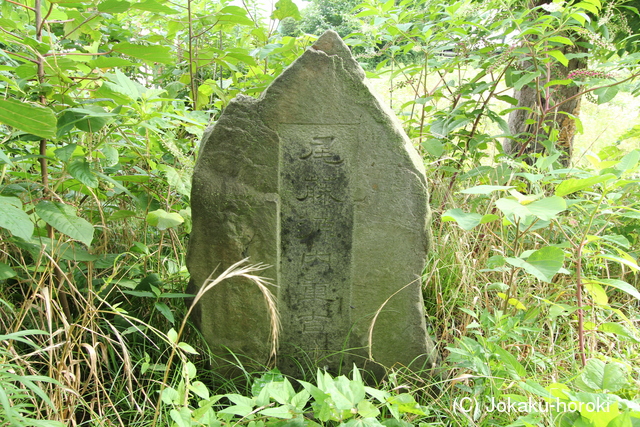 尾張 重吉城の写真