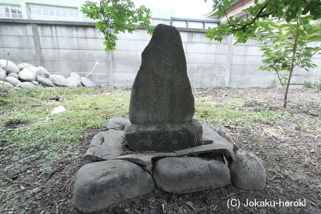 尾張 助光城の写真