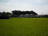 尾張 寺本城の写真
