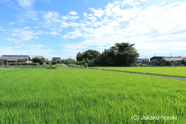 尾張 時之島城の写真