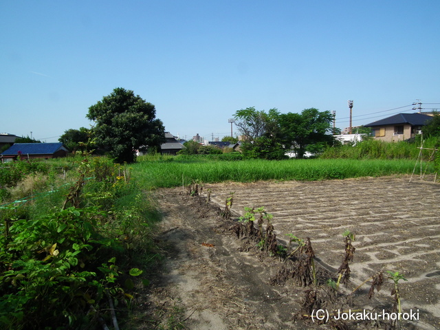 尾張 横根城の写真