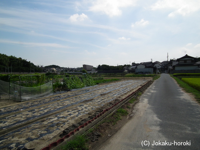 尾張 横須賀城の写真