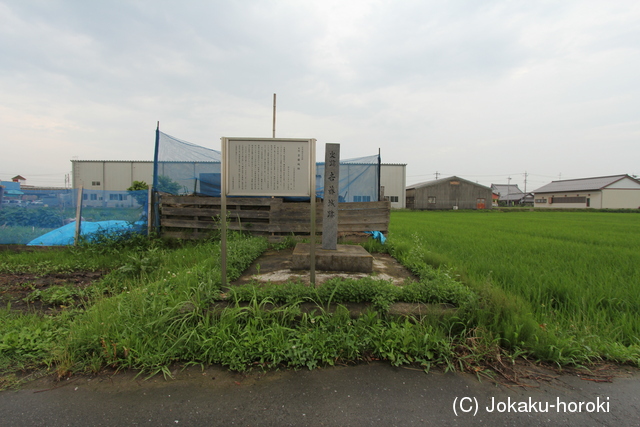 尾張 吉藤城の写真