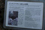 琉球 今帰仁グスクの写真