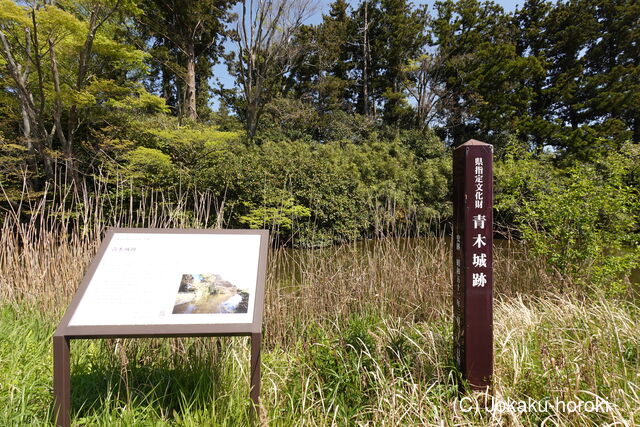 佐渡 青木城の写真