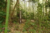 佐渡 羽茂城の写真
