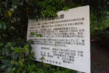 佐渡 羽茂城の写真