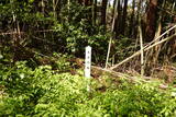 佐渡 羽茂城の写真
