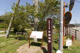 佐渡 新穂城の写真