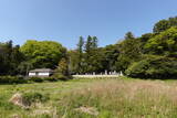 佐渡 沢根城の写真