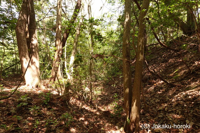 佐渡 吉岡城の写真