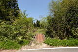 佐渡 吉岡城の写真
