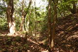 佐渡 吉岡城の写真