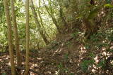 佐渡 吉岡城の写真