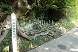 芦名城写真