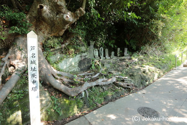 相模 芦名城の写真