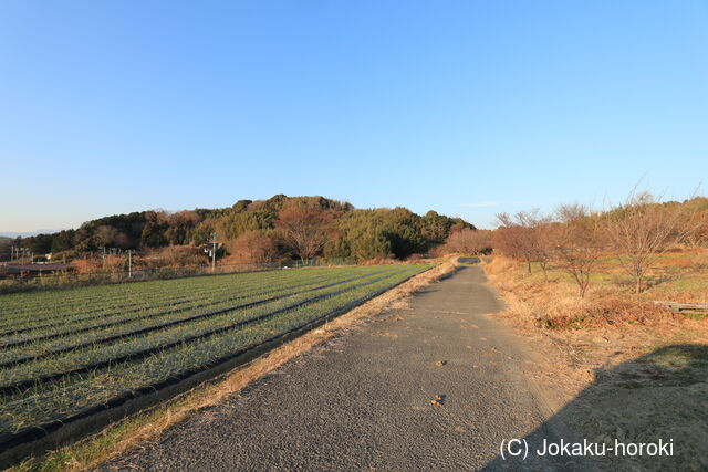 相模 道場城山の写真